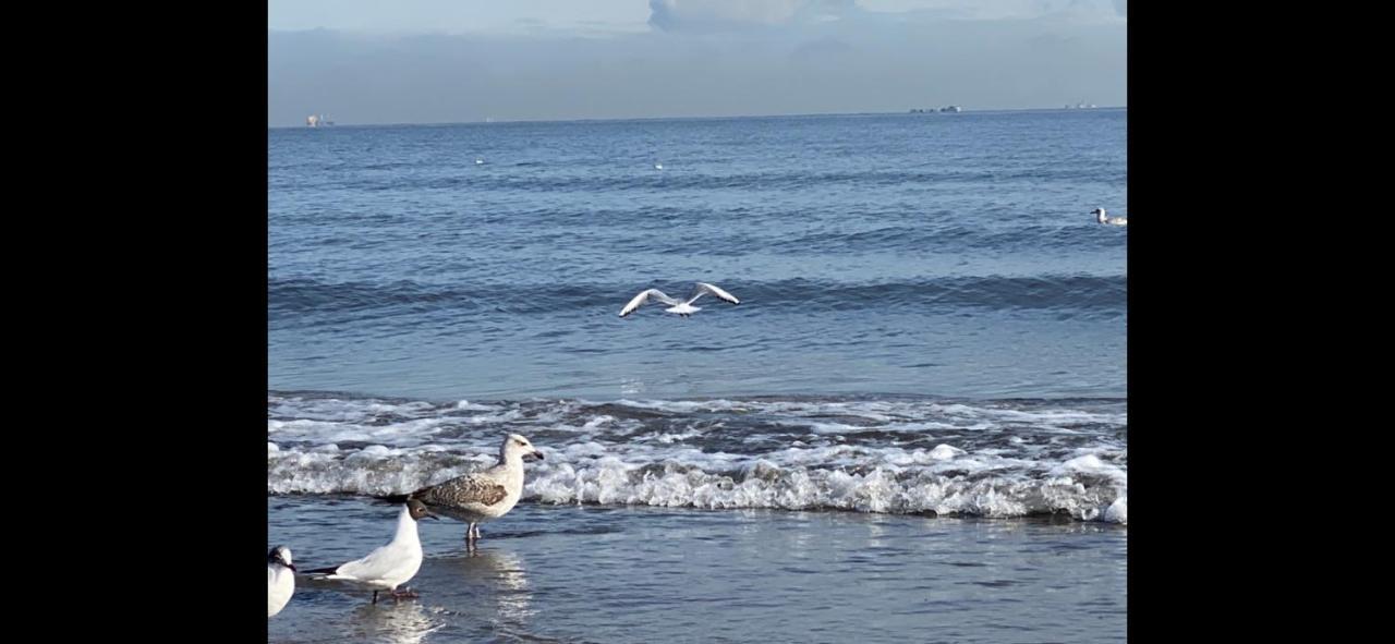 Oliwia Ii * Sopot